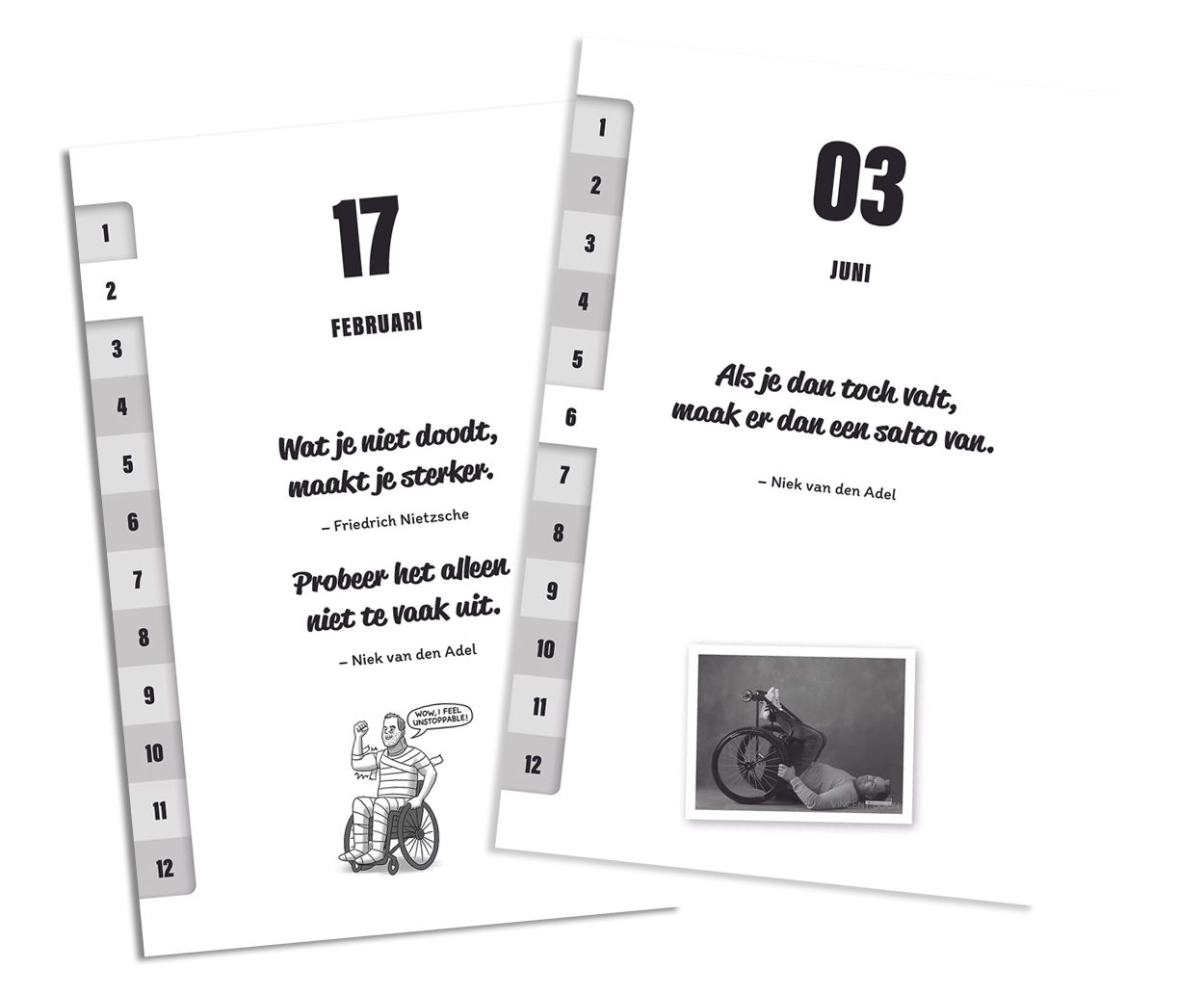 365 dagen kalender Struikelen als springplank niek van den adel spreker auteur veerkracht inhoud sneak peek