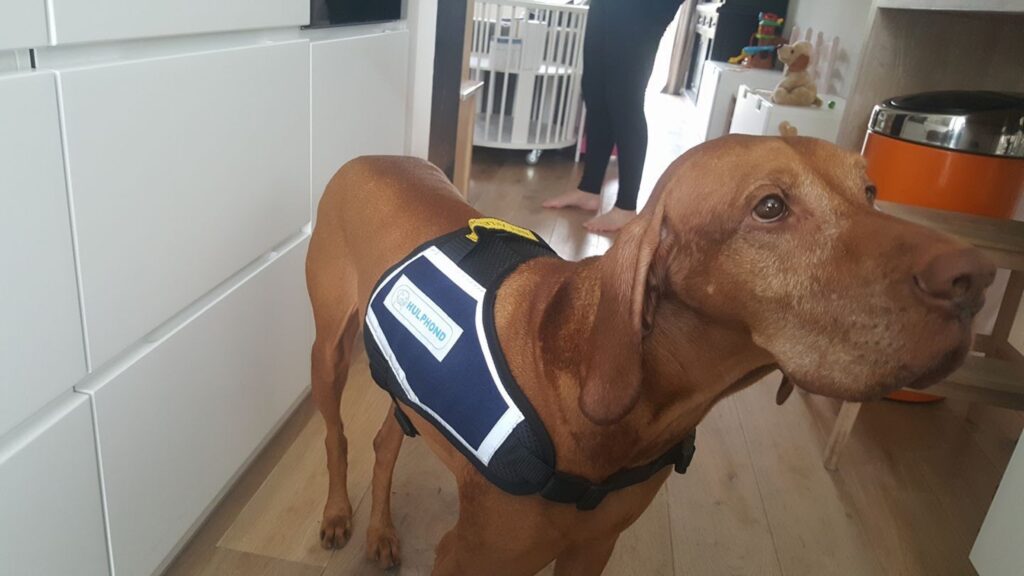 Joep 5 Joep 5