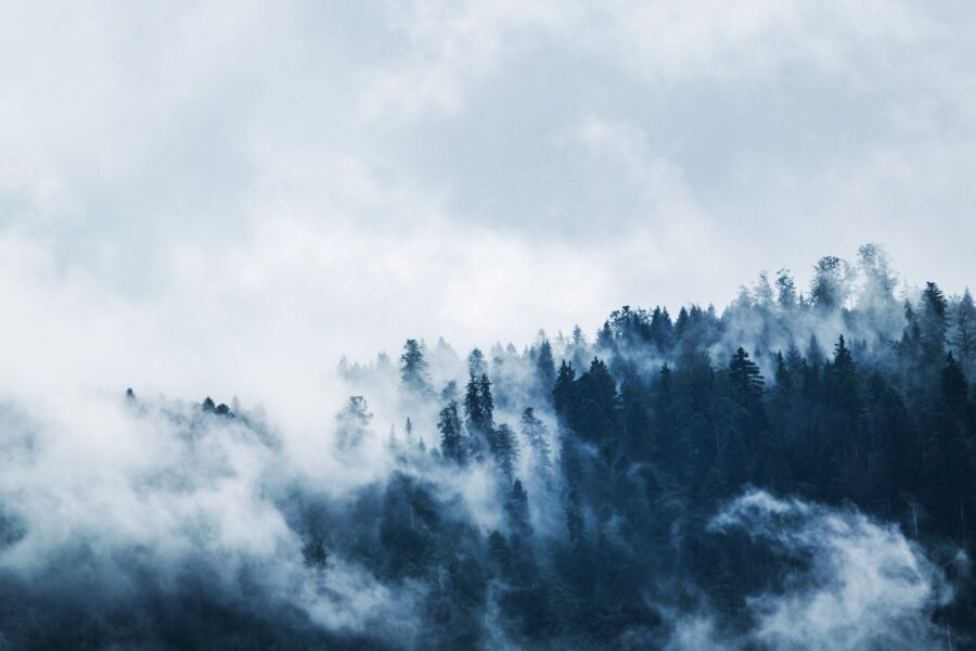 Lopen in de mist