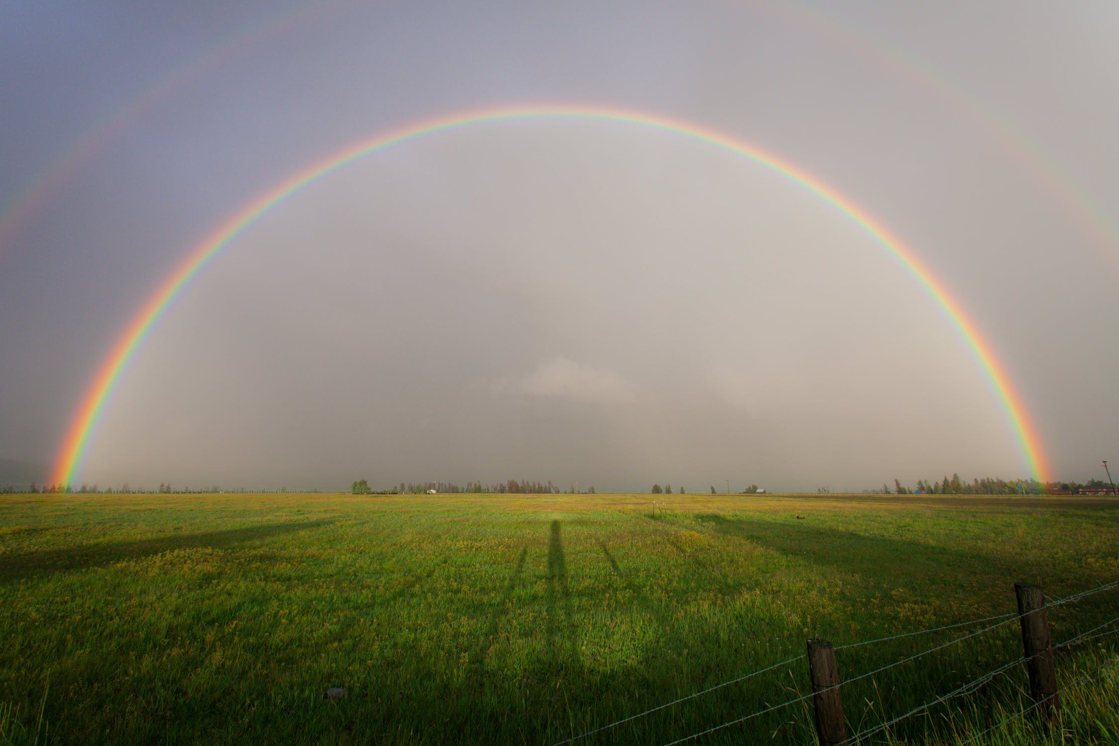 mams is een regenboog